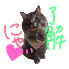 [LINEスタンプ] たまの言葉