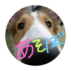 [LINEスタンプ] SHION's life.