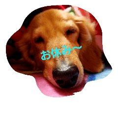 [LINEスタンプ] うちの愛犬ラム