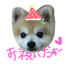 [LINEスタンプ] 愛しのりゅう