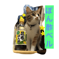 [LINEスタンプ] 大好きなベル
