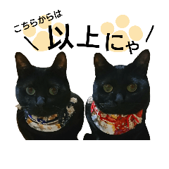 [LINEスタンプ] 黒猫兄弟 そらりく 4