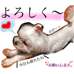 [LINEスタンプ] かわいいみみちゃん
