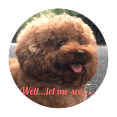 [LINEスタンプ] U-style 犬スタンプ