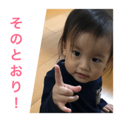 [LINEスタンプ] うちの子ツチノコ