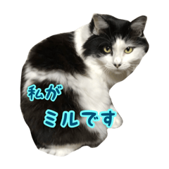[LINEスタンプ] ミルと仲間達