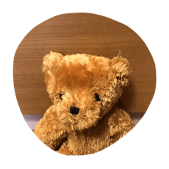 [LINEスタンプ] 癒されくまくま