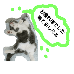 [LINEスタンプ] working twitter