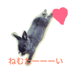 [LINEスタンプ] グレーうさぎ