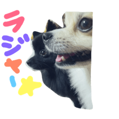 [LINEスタンプ] ピノとプリン