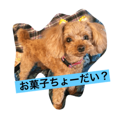 [LINEスタンプ] pokke＆berry