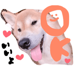 [LINEスタンプ] 柴犬。。