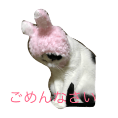 [LINEスタンプ] トトハピ