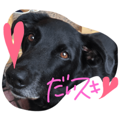 [LINEスタンプ] チップくんの毎日