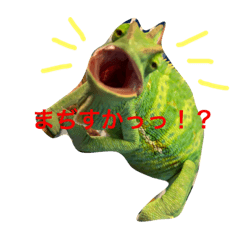 [LINEスタンプ] カメレオンの写真スタンプ