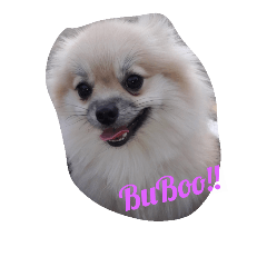 [LINEスタンプ] mr.buboo