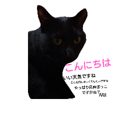[LINEスタンプ] nyanta！！