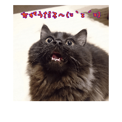 [LINEスタンプ] 梵天