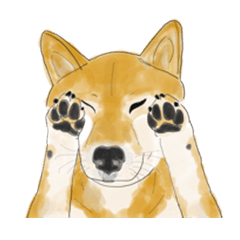 [LINEスタンプ] SHIBA TORATOBI