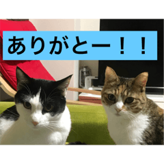 [LINEスタンプ] ミントとリンク