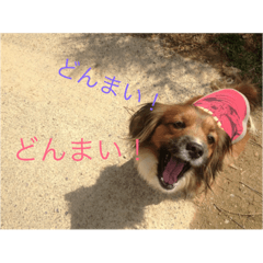 [LINEスタンプ] 田舎