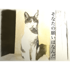 [LINEスタンプ] 家猫の気持ち