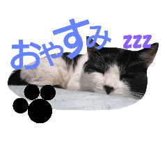 [LINEスタンプ] ぶち猫よしおちゃん