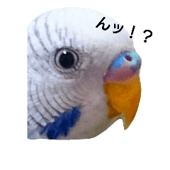 [LINEスタンプ] Sekisei Inko.