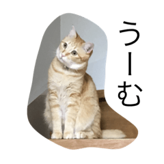 [LINEスタンプ] レオンと一緒2