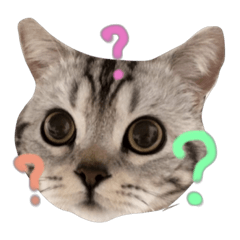 [LINEスタンプ] れいのすたんぷ