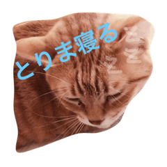 [LINEスタンプ] ルーちゃん22