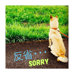 [LINEスタンプ] 愛犬 Love