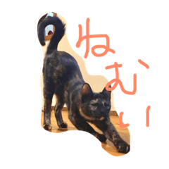 [LINEスタンプ] ねこの巣1