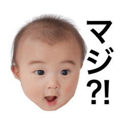 [LINEスタンプ] so-takun1