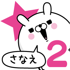 [LINEスタンプ] ☆さなえ☆が使う名前あだ名スタンプ2