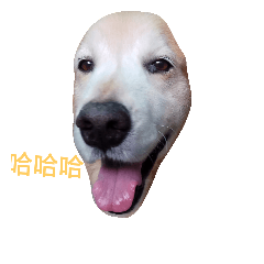 [LINEスタンプ] hateful dog