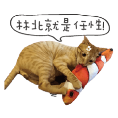 [LINEスタンプ] JTCATS