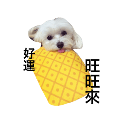 [LINEスタンプ] No.2 Very cute dog.