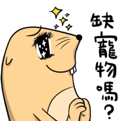 [LINEスタンプ] Dynamic Groundhog