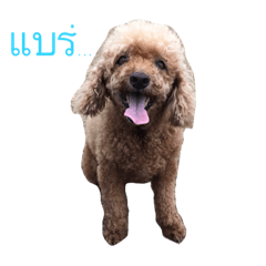 [LINEスタンプ] DogTan