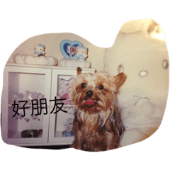 [LINEスタンプ] Good boy ChoCho