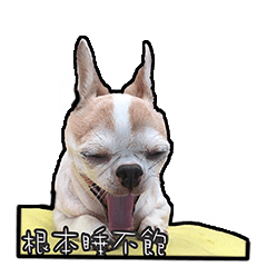 [LINEスタンプ] Alien dog