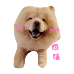 [LINEスタンプ] chowchow bear