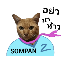 [LINEスタンプ] Sompan,The Moody Cat.