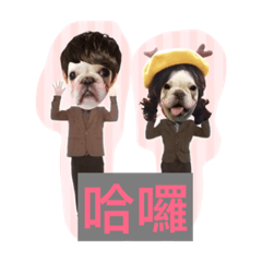 [LINEスタンプ] Frenchbulldog-pantiao