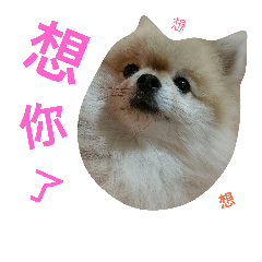 [LINEスタンプ] dog 66