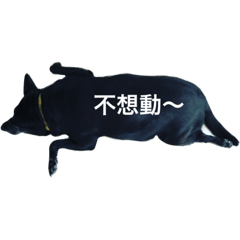 [LINEスタンプ] Black Fat Dog