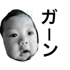 [LINEスタンプ] うちの絢太。