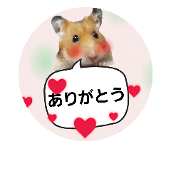 [LINEスタンプ] それいけ！ぱんちゃん