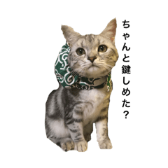 [LINEスタンプ] 小春(1)